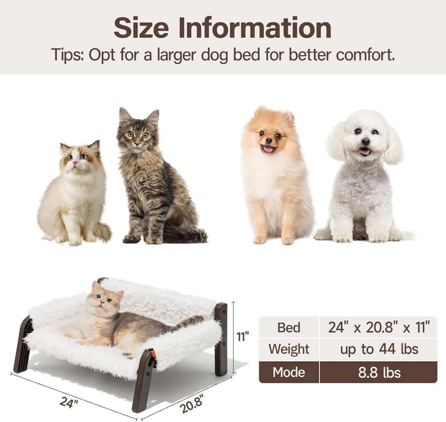 MEWOOFUN Raised Dog & Cat Bed - Elevated Plush Pet Sofa With Non-Slip Bottom