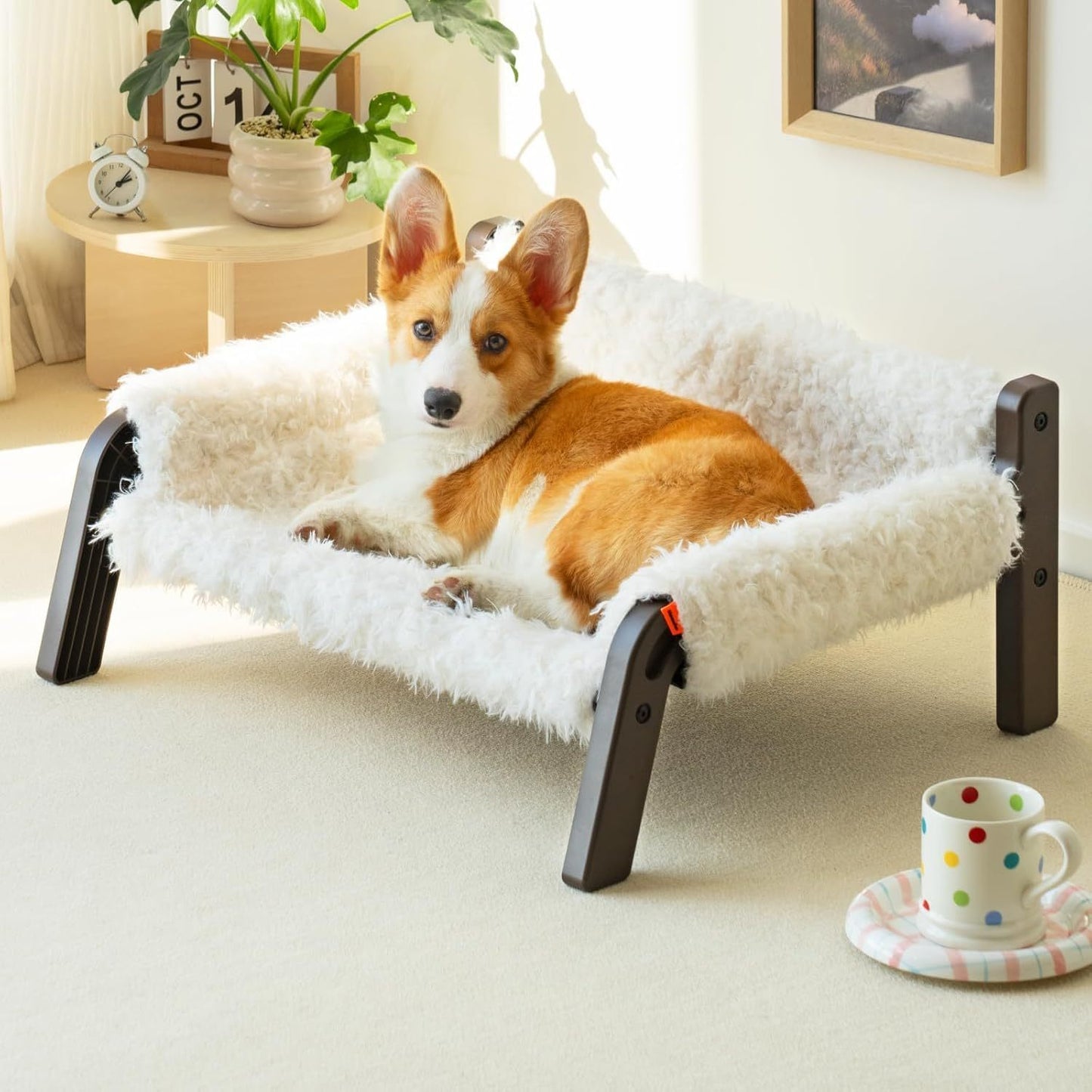 MEWOOFUN Raised Dog & Cat Bed - Elevated Plush Pet Sofa With Non-Slip Bottom