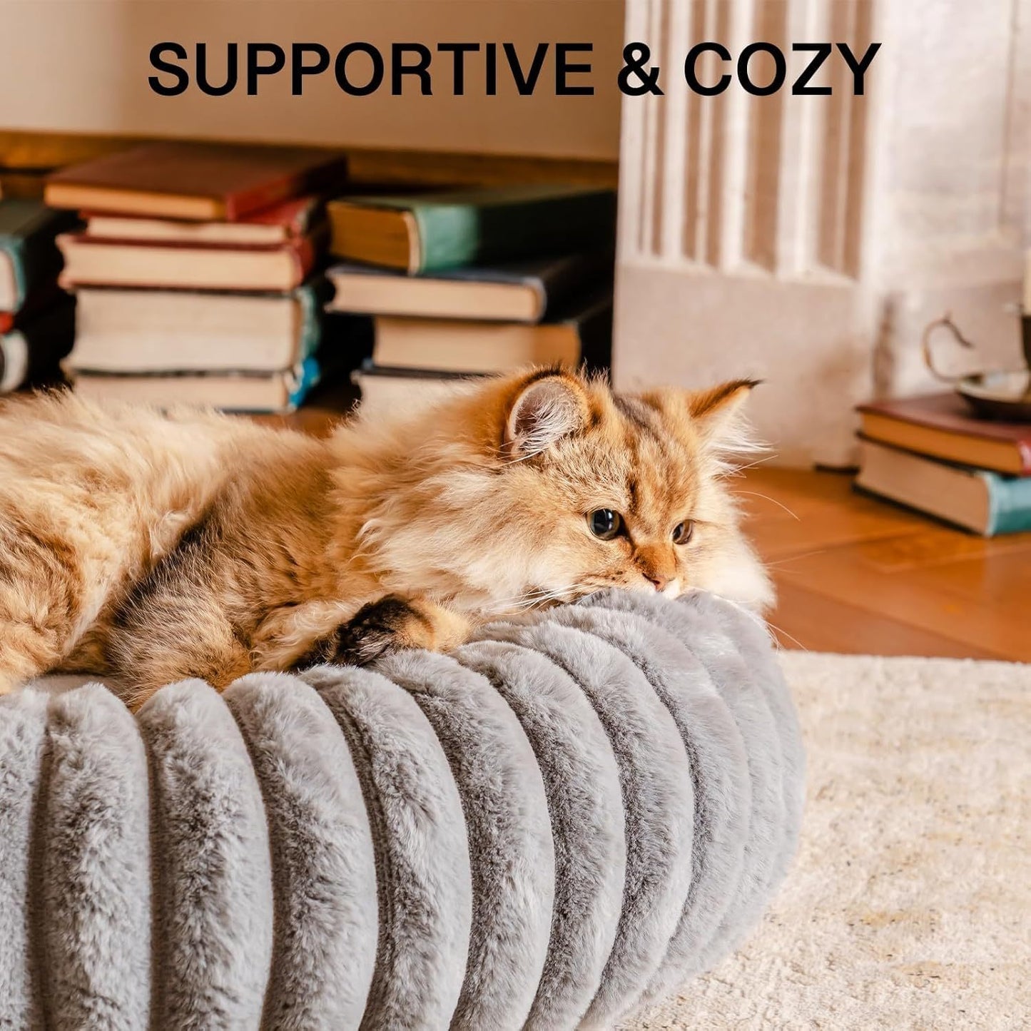 MEWOOFUN Donut Cat Bed