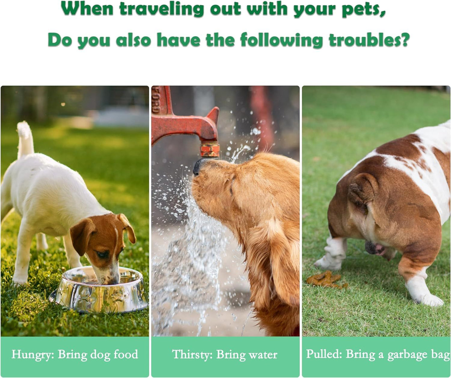 3 In 1 Pet Outdoor Portable Dog Water Bottle With Food Container