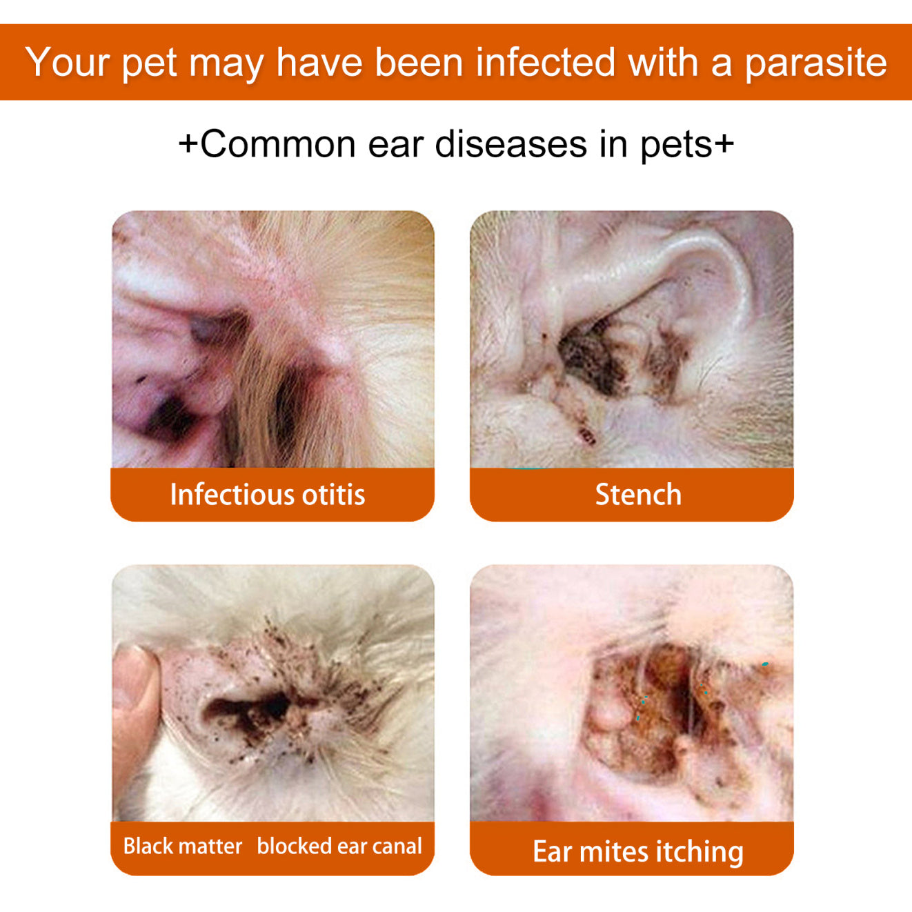 Yegbong Pet Ear Wipes