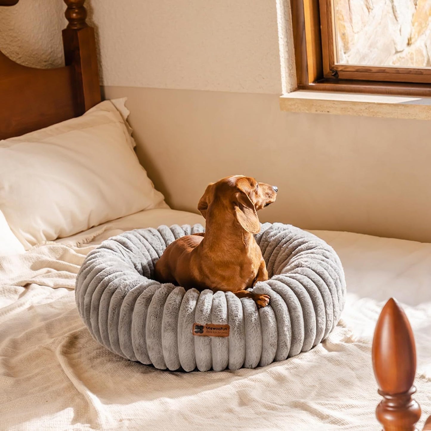 MEWOOFUN Donut Cat Bed